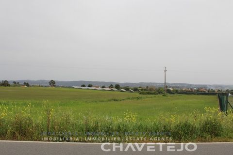 Terra a Tomar, Santarem, Tomar - € 130.000 | Ref: 604/21 - foto 4