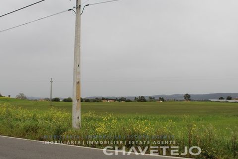 Terra a Tomar, Santarem, Tomar - € 130.000 | Ref: 604/21 - foto 5