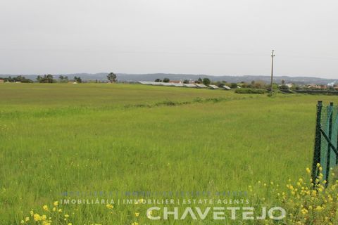 Terra a Tomar, Santarem, Tomar - € 130.000 | Ref: 604/21 - foto 6