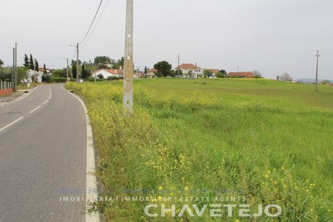 Terra a Tomar, Santarem, Tomar - € 130.000 | Ref: 604/21 - foto 7