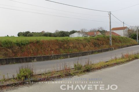 Terra a Tomar, Santarem, Tomar - € 130.000 | Ref: 604/21 - foto 8