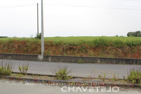 Terra a Tomar, Santarem, Tomar - € 130.000 | Ref: 604/21 - foto 9