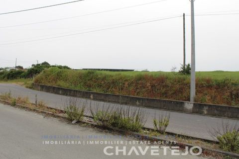 Terra a Tomar, Santarem, Tomar - € 130.000 | Ref: 604/21 - foto 10