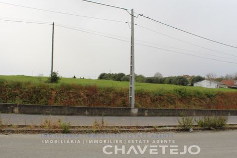 Terra a Tomar, Santarem, Tomar - € 130.000 | Ref: 604/21 - foto 11