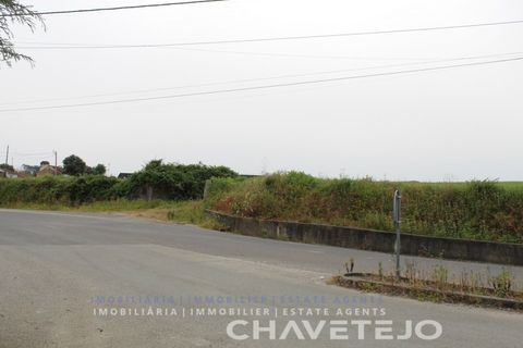 Terra a Tomar, Santarem, Tomar - € 130.000 | Ref: 604/21 - foto 12