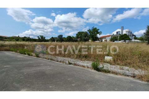 Helårsgrund i Tomar, Santarem, Tomar - € 45.000 | Ref: 609/23 - foto 3