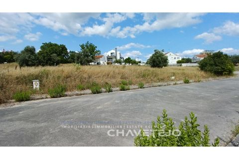 Helårsgrund i Tomar, Santarem, Tomar - € 45.000 | Ref: 609/23 - foto 6