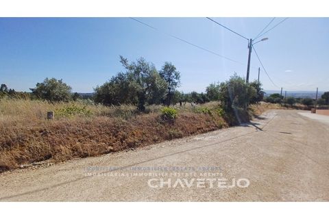 Terra a Tomar, Santarem, Tomar - € 50.000 | Ref: 608/23 - foto 2