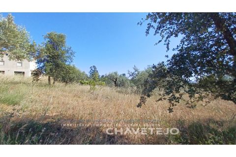 Terra a Tomar, Santarem, Tomar - € 50.000 | Ref: 608/23 - foto 7