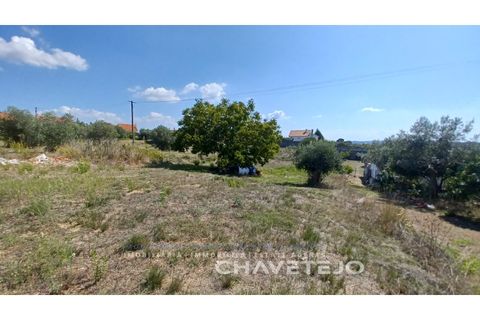 Helårsgrund i Tomar, Santarem, Tomar - € 55.000 | Ref: 623/22 - foto 1