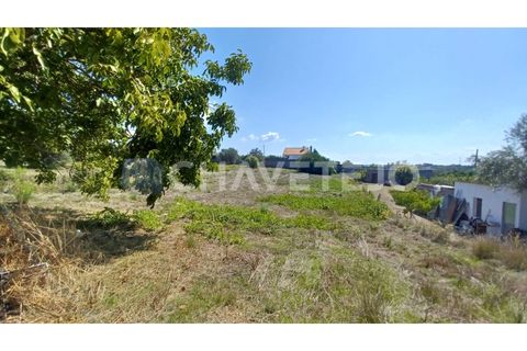 Helårsgrund i Tomar, Santarem, Tomar - € 55.000 | Ref: 623/22 - foto 2