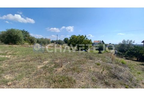 Helårsgrund i Tomar, Santarem, Tomar - € 55.000 | Ref: 623/22 - foto 4