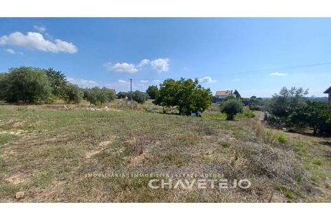 Helårsgrund i Tomar, Santarem, Tomar - € 55.000 | Ref: 623/22 - foto 5