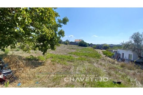 Helårsgrund i Tomar, Santarem, Tomar - € 55.000 | Ref: 623/22 - foto 6