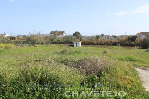 Tomt i Tomar, Santarem, Tomar - € 45 000 | Ref: 603/22 - foto 2