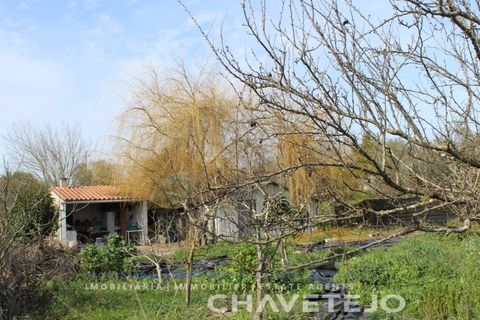Tomt i Tomar, Santarem, Tomar - € 45 000 | Ref: 603/22 - foto 4