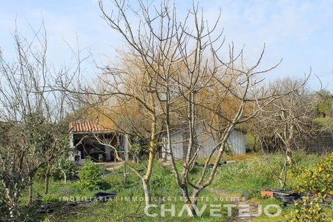 Tomt i Tomar, Santarem, Tomar - € 45 000 | Ref: 603/22 - foto 5