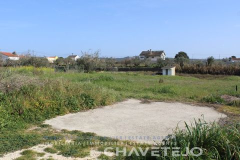 Tomt i Tomar, Santarem, Tomar - € 45 000 | Ref: 603/22 - foto 7