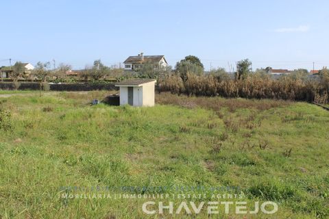 Tomt i Tomar, Santarem, Tomar - € 45 000 | Ref: 603/22 - foto 8