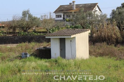 Tomt i Tomar, Santarem, Tomar - € 45 000 | Ref: 603/22 - foto 9