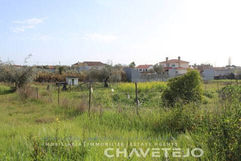 Tomt i Tomar, Santarem, Tomar - € 45 000 | Ref: 603/22 - foto 10