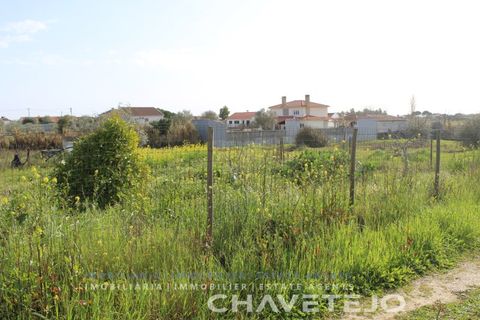 Tomt i Tomar, Santarem, Tomar - € 45 000 | Ref: 603/22 - foto 11
