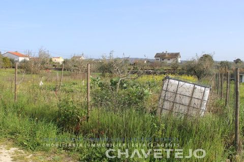 Tomt i Tomar, Santarem, Tomar - € 45 000 | Ref: 603/22 - foto 12