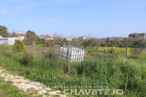 Tomt i Tomar, Santarem, Tomar - € 45 000 | Ref: 603/22 - foto 13