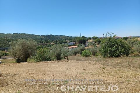 Tomt i Tomar, Santarem, Tomar - € 40 000 | Ref: 626/22 - foto 2