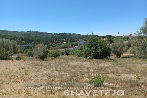 Tomt i Tomar, Santarem, Tomar - € 40 000 | Ref: 626/22 - foto 4