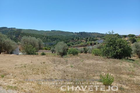 Tomt i Tomar, Santarem, Tomar - € 40 000 | Ref: 626/22 - foto 5