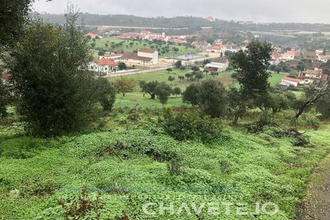 Helårsgrund i Tomar, Santarem, Tomar - € 35.000 | Ref: 615/20 - foto 2
