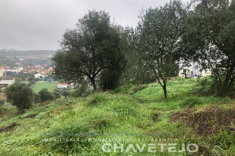 Helårsgrund i Tomar, Santarem, Tomar - € 35.000 | Ref: 615/20 - foto 4