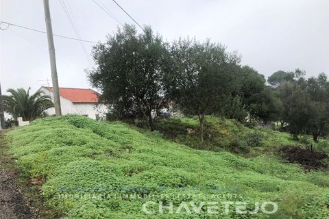 Helårsgrund i Tomar, Santarem, Tomar - € 35.000 | Ref: 615/20 - foto 5