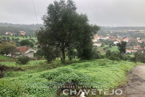 Helårsgrund i Tomar, Santarem, Tomar - € 35.000 | Ref: 615/20 - foto 6