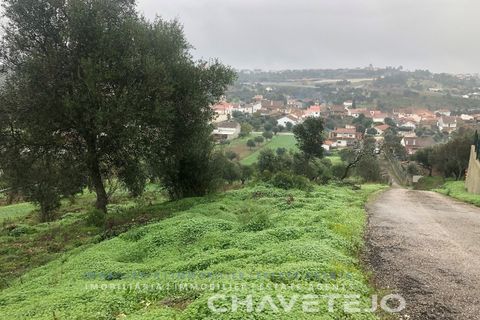 Helårsgrund i Tomar, Santarem, Tomar - € 35.000 | Ref: 615/20 - foto 7