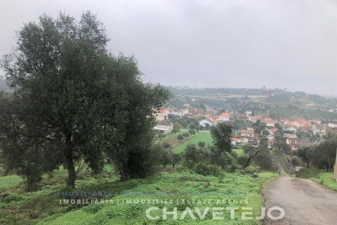Helårsgrund i Tomar, Santarem, Tomar - € 35.000 | Ref: 615/20 - foto 8