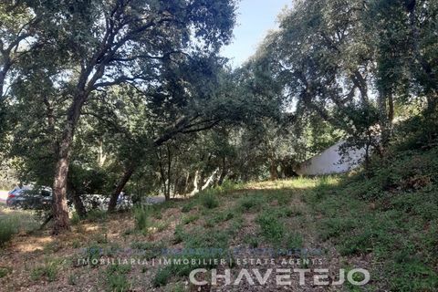 Helårsgrund i Serra, Santarem, Serra - € 75.000 | Ref: 603/20 - foto 2