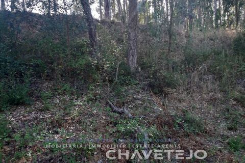 Helårsgrund i Serra, Santarem, Serra - € 75.000 | Ref: 603/20 - foto 5