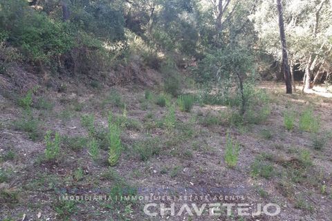 Helårsgrund i Serra, Santarem, Serra - € 75.000 | Ref: 603/20 - foto 7