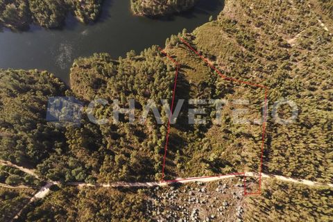 Helårsgrund i Serra, Santarem, Serra - € 15.700 | Ref: 600/20 - foto 6