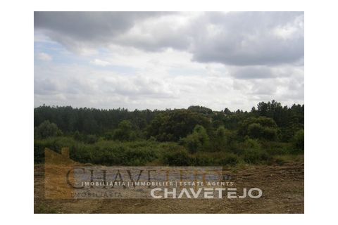 Grond in Tomar, Santarem, Tomar - € 50.000 | Ref: 627/18 - foto 1