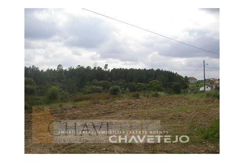 Grond in Tomar, Santarem, Tomar - € 50.000 | Ref: 627/18 - foto 3