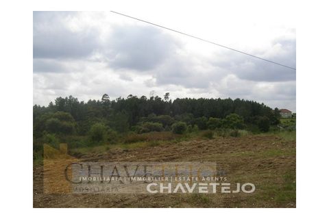 Grond in Tomar, Santarem, Tomar - € 50.000 | Ref: 627/18 - foto 4