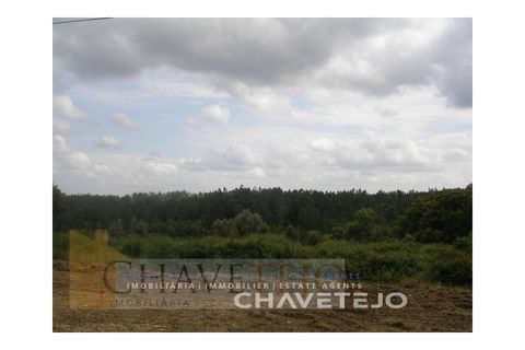Grond in Tomar, Santarem, Tomar - € 50.000 | Ref: 627/18 - foto 5