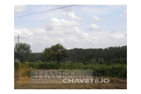 Grond in Tomar, Santarem, Tomar - € 50.000 | Ref: 627/18 - foto 6