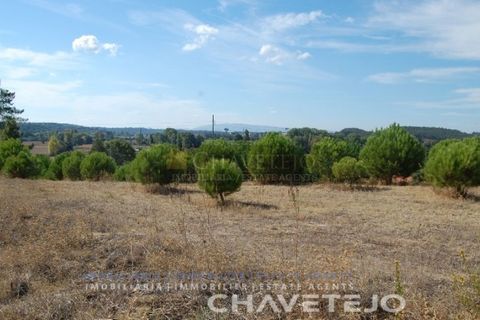 Helårsgrund i Tomar, Santarem, Tomar - € 29.800 | Ref: 626/18 - foto 3