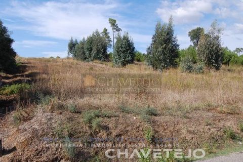 Helårsgrund i Tomar, Santarem, Tomar - € 29.800 | Ref: 626/18 - foto 4