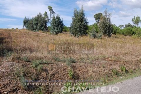 Helårsgrund i Tomar, Santarem, Tomar - € 29.800 | Ref: 626/18 - foto 5