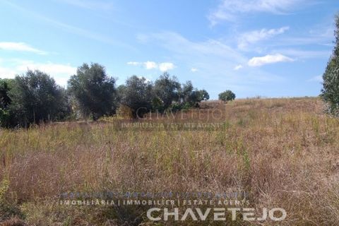 Helårsgrund i Tomar, Santarem, Tomar - € 29.800 | Ref: 626/18 - foto 6